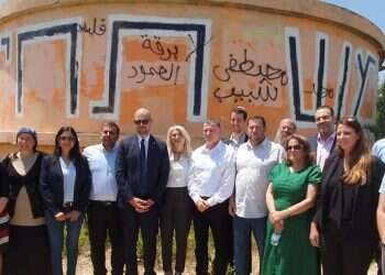 צילום: רועי חדי