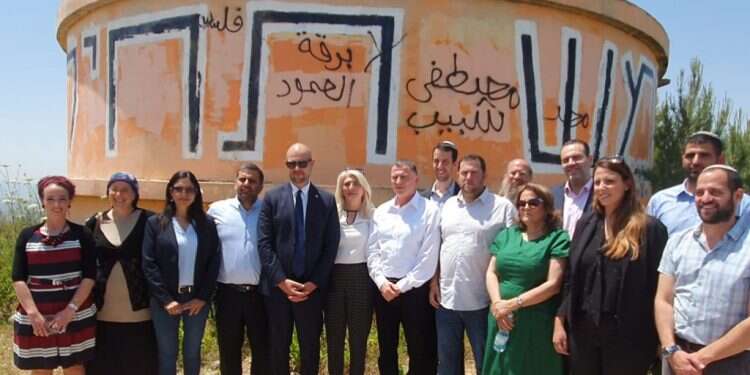 צילום: רועי חדי