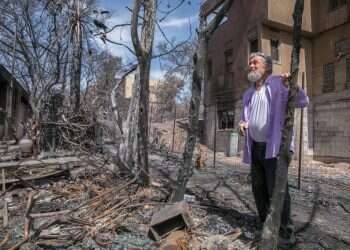 צילום: יוסי אלוני