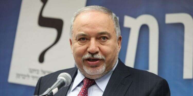 צילום: נעם ריבקין פנטון, פלאש 90