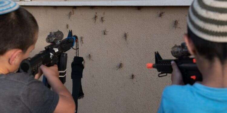 צילום: אייל מרגולין - ג'יני