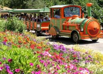 צילום: גודי מרכוס