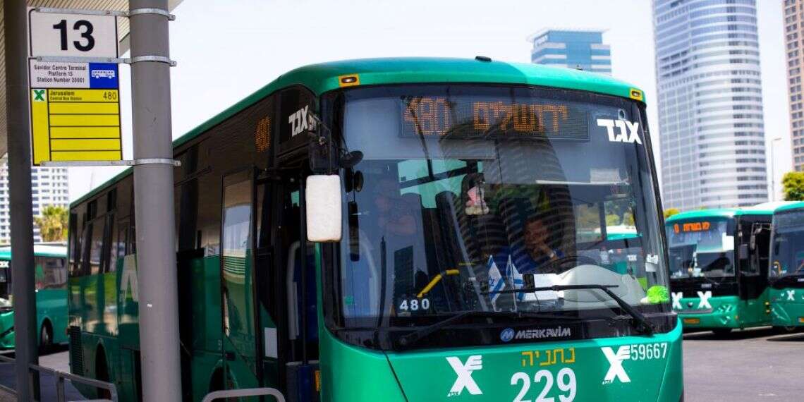 קו 480 לירושלים. צילום: אריק סולטן צילום: אריק סולטן