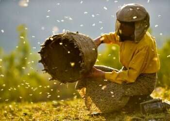 צילום: Ljubomir Stefanov