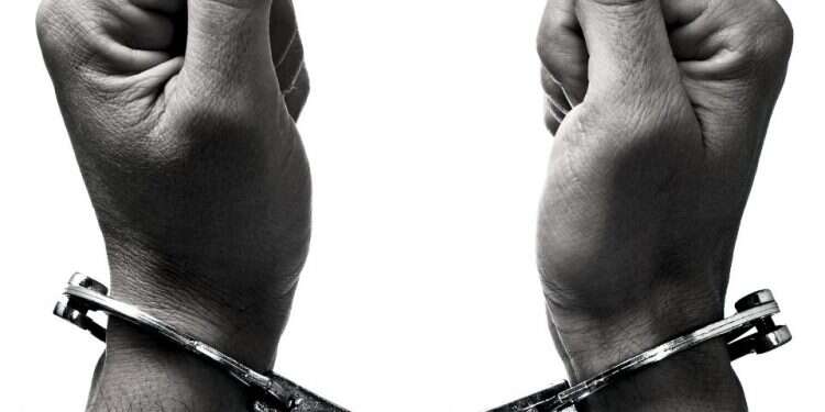 צילום: שאטרסטוק צילום: שאטרסטוק