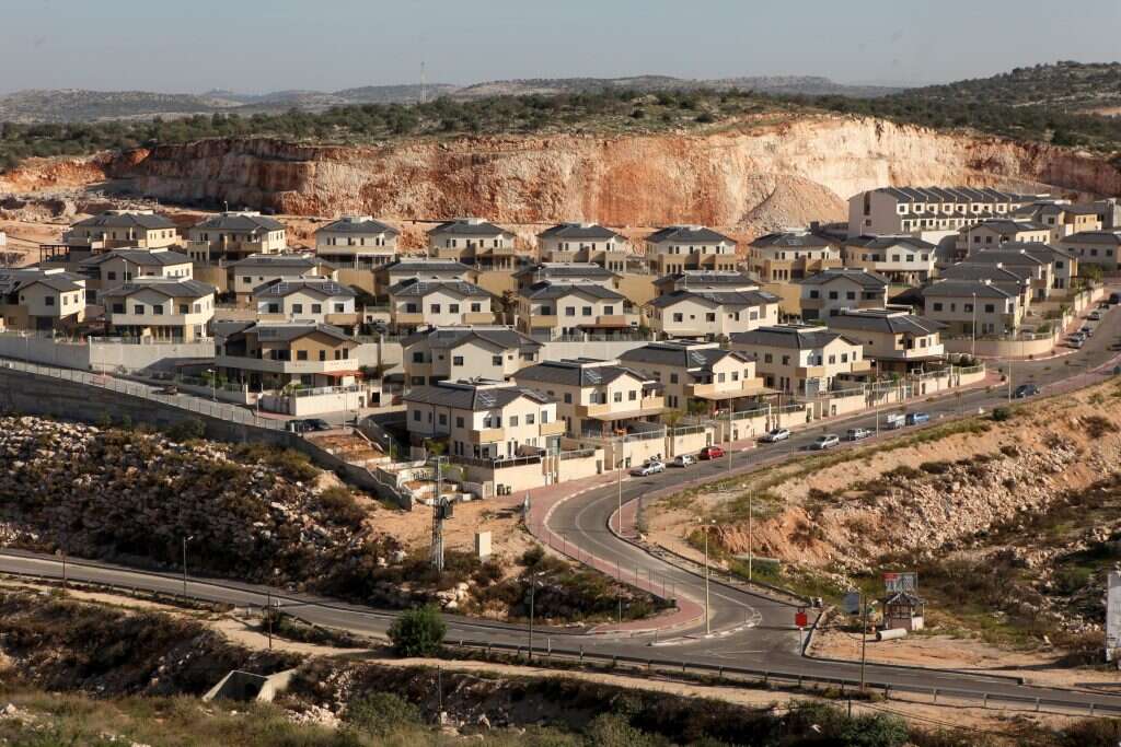 צילום: חן גלילי