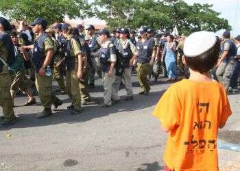 צילום: מרים צחי