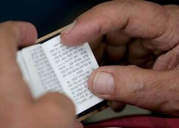 צילום: מרים צחי