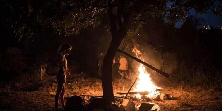 ל צילום: הדס פרוש - פלאש 90