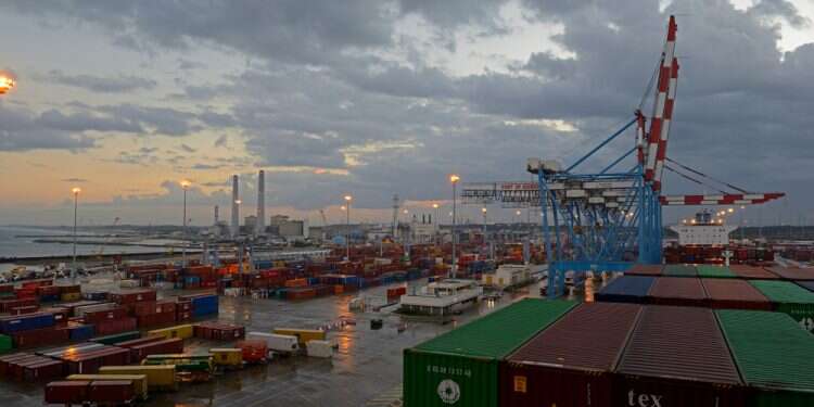 צילום: שאטרסטוק