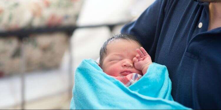 צילום: שאטרסטוק צילום: שאטרסטוק