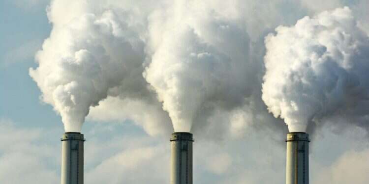 צילום: שאטרסטוק צילום: שאטרסטוק