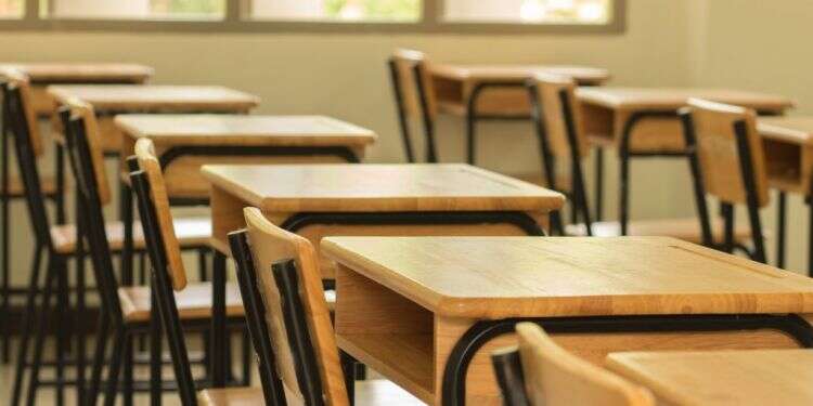 צילום: שאטרסטוק צילום: שאטרסטוק