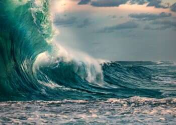 צילום: שאטרסטוק