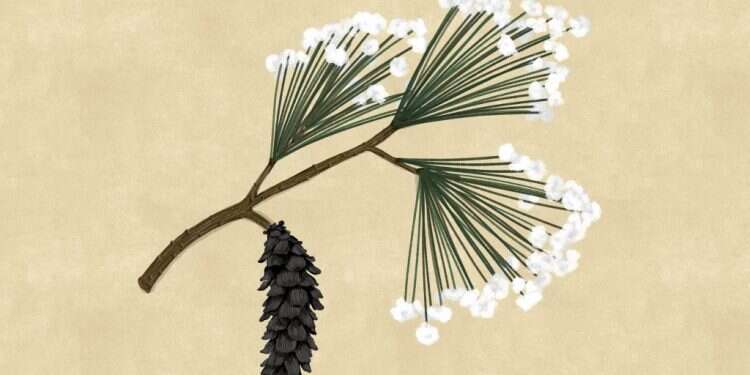 איור: שרון ארדיטי