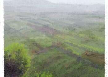 איור: מנחם הלברשטט