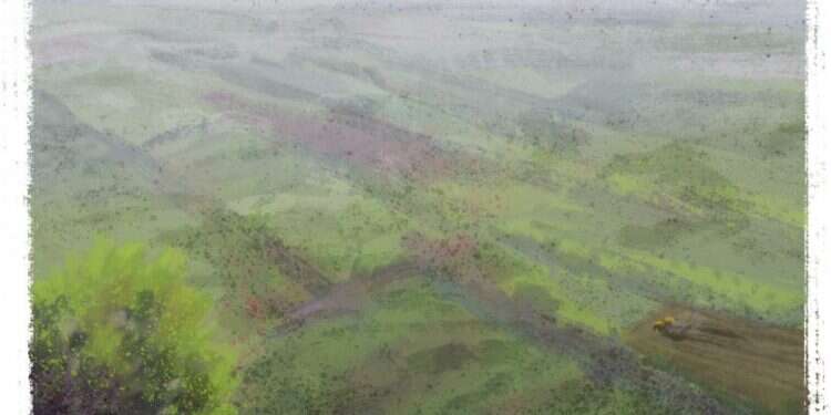 איור: מנחם הלברשטט