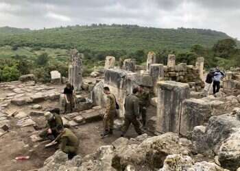 צילום: צבא הגנה לטבע