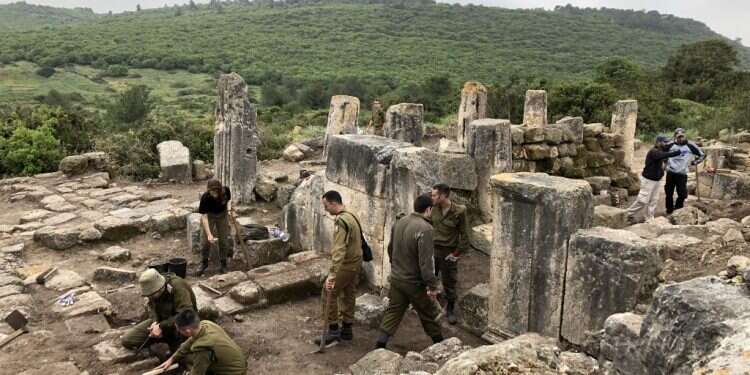 צילום: צבא הגנה לטבע