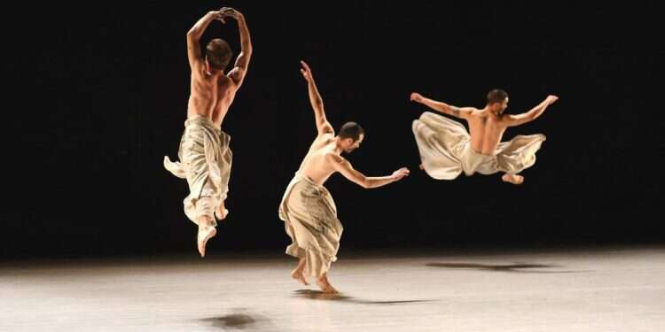 צילום: אסקף