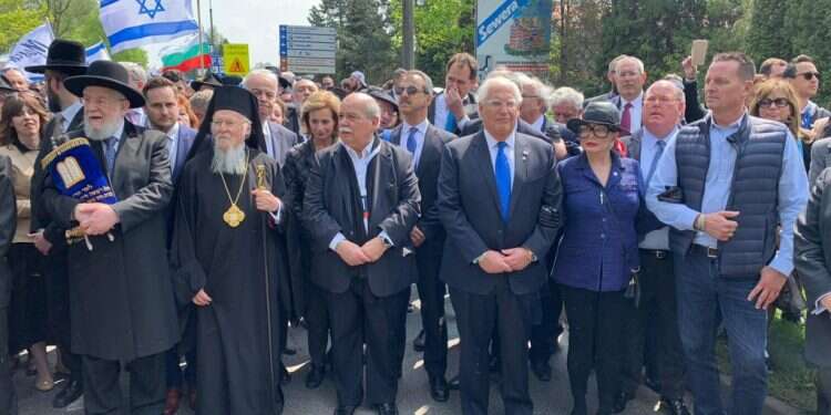 צילום: יוסי זליגר