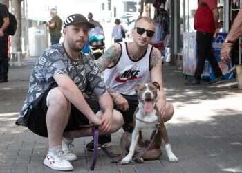 צילום: יוסי אלוני