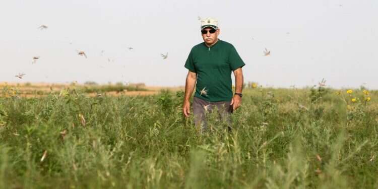 צילום: מרים צחי