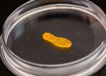 צילום: מתיו לין, הוושינגטון פוסט