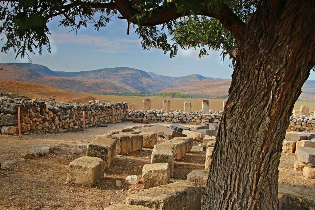 צילום: LeehuZysberg