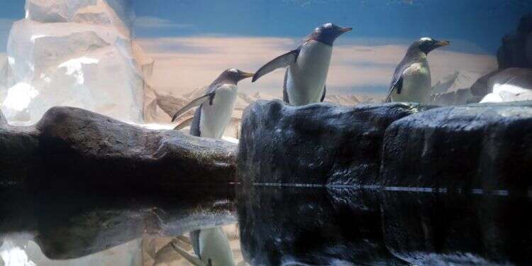 צילום: שאטרסטוק