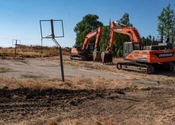 צילום: אייל מרגולין, ג'יני