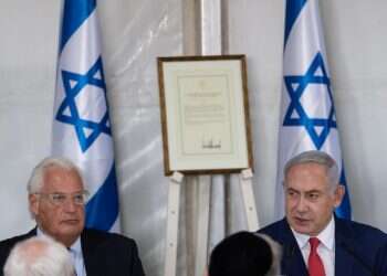 צילום: אייל מרגולין, ג'יני