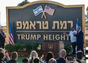 צילום: אייל מרגולין, ג'יני