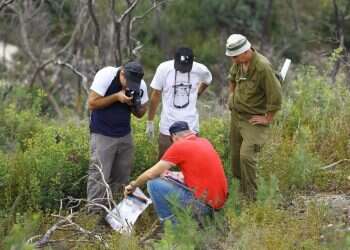צילום: מישל דוט קום