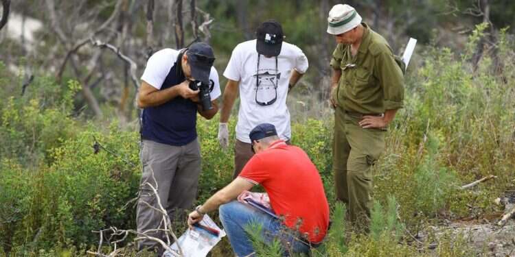 צילום: מישל דוט קום