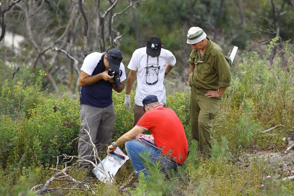 צילום: מישל דוט קום