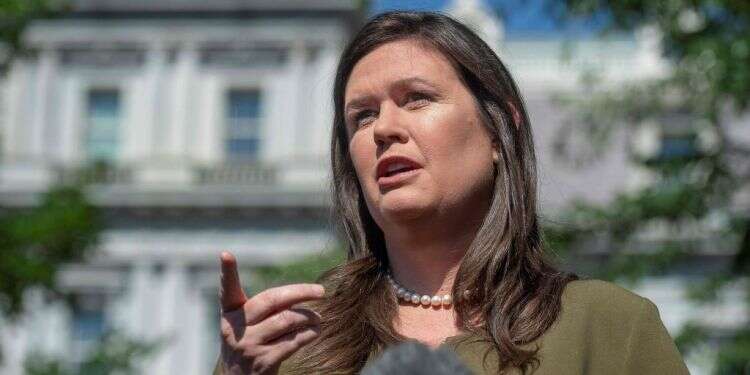 שרה סנדרס. צילום: AFP צילום: AFP