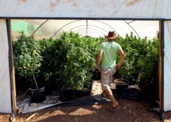 צילום: אביר סולטן, פלאש 90