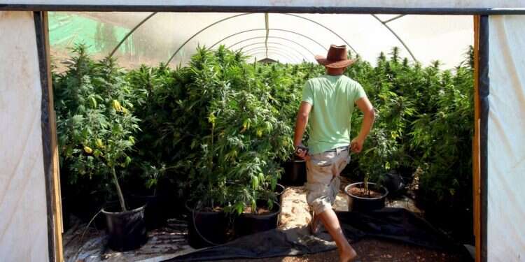 צילום: אביר סולטן, פלאש 90