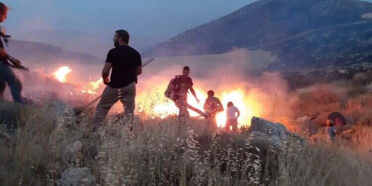 צילום: תושבי גבעות איתמר