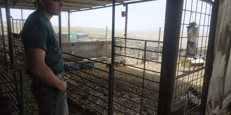 חוות טליה. צילום: בתאל קולמן צילום: בתאל קולמן