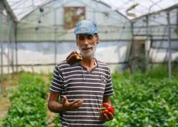 צילום: לירון מולדובן