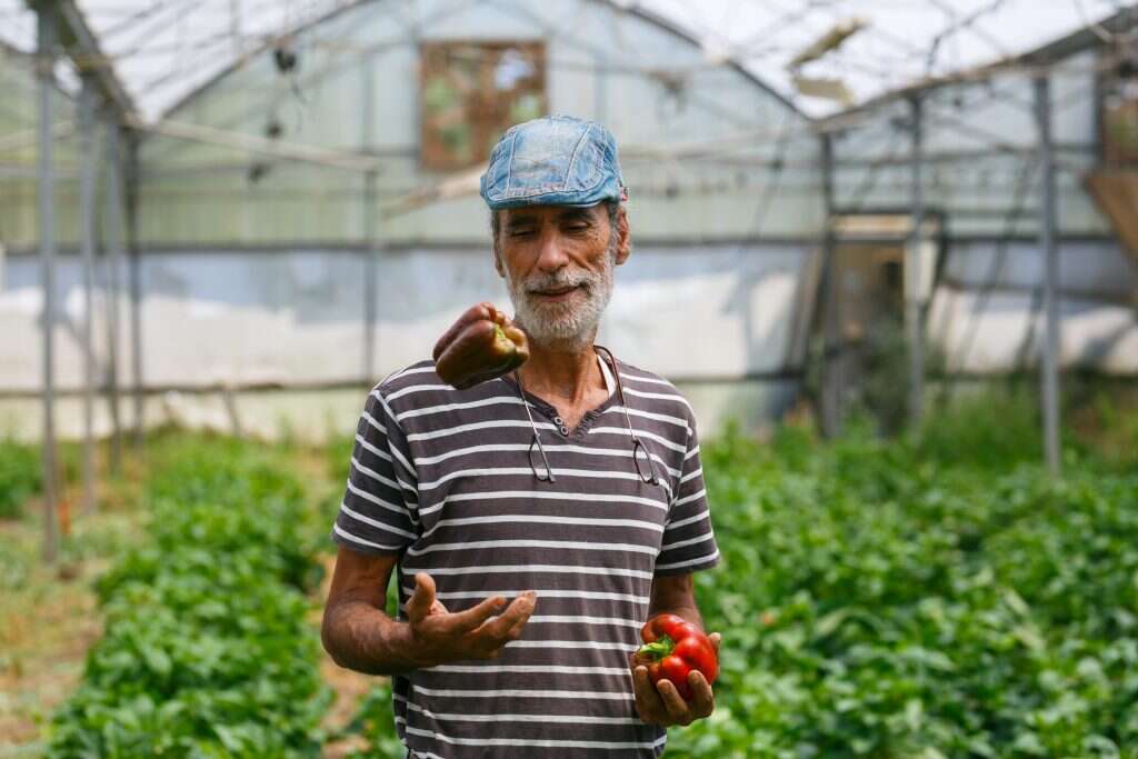 חיים זבולון. צילום: לירון מולדובן צילום: לירון מולדובן