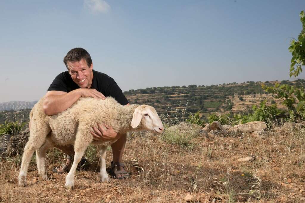 צילום: יוסי אלוני
