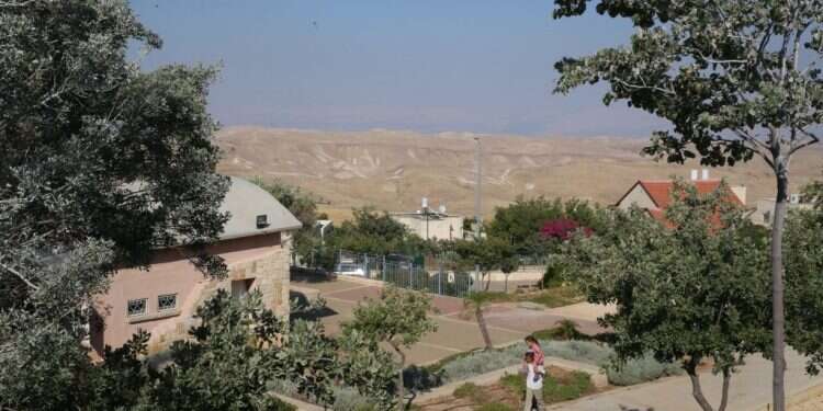 נוקדים. צילום: מרים צחי צילום: מרים צחי