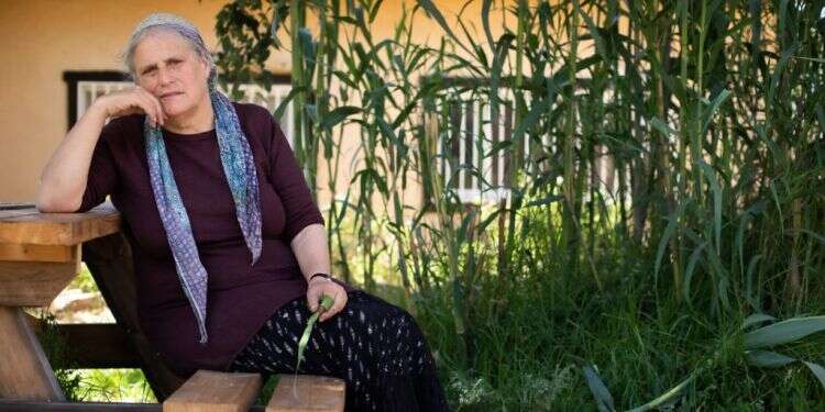 צילום: אריק סולטן