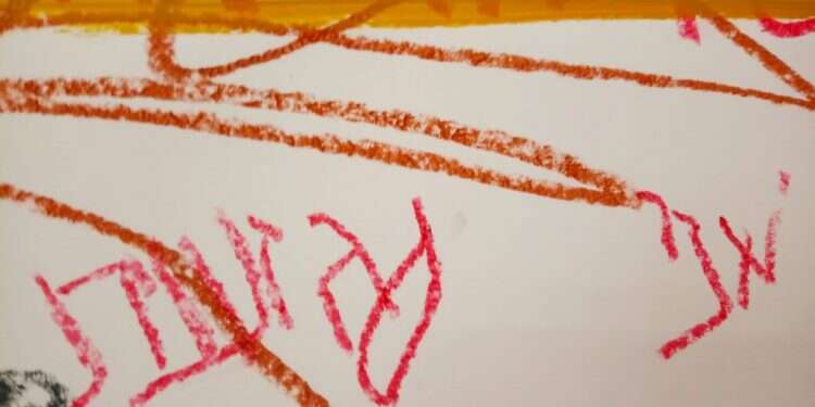 צילום: שרה זלטה