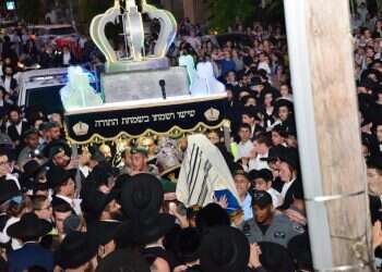 צילום: שוקי לרר