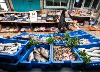 צילום: דורון גולן, ג'יני