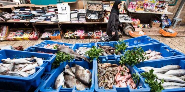 צילום: דורון גולן, ג'יני